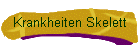 Krankheiten Skelett